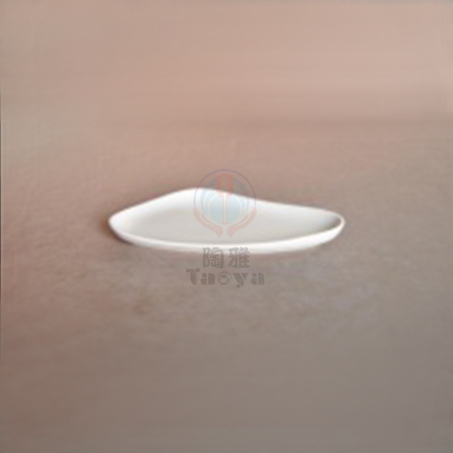 10"三角彎弧長盤|HAN-CHP8291-W
