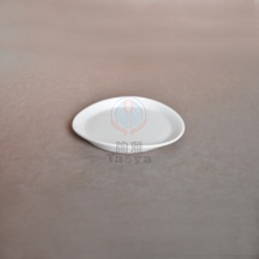 10"拉風圓盤|HAN-CHP7964-W