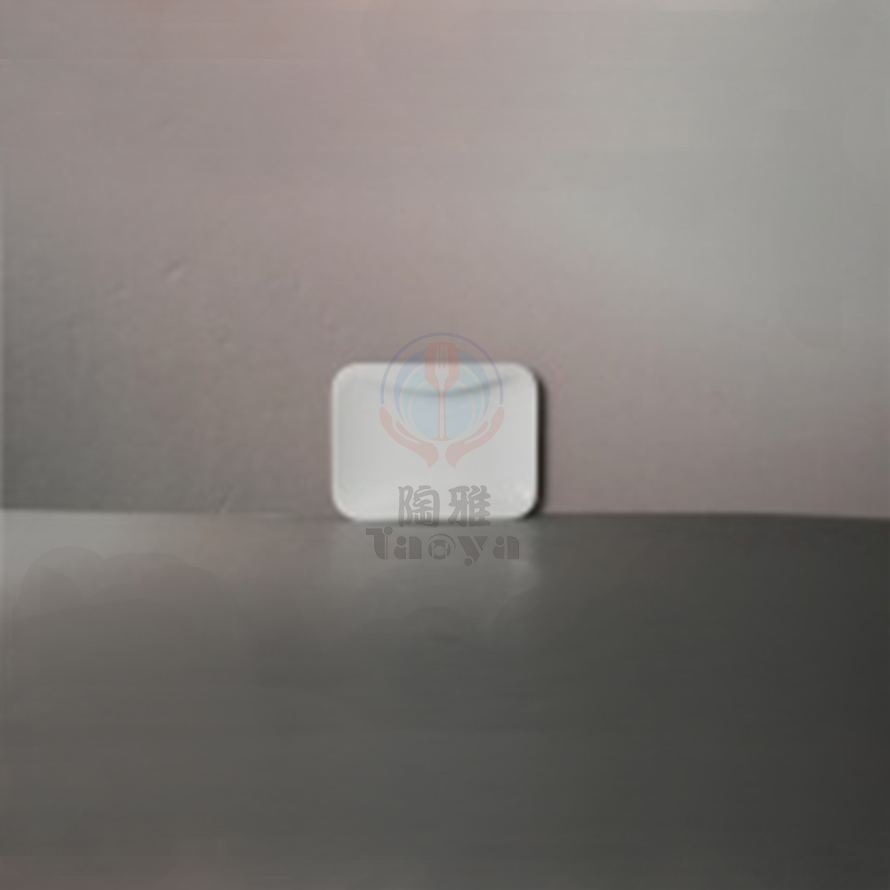 6"長方內束身盤|HAN-CHP5812-W
